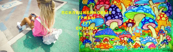 наркотики Инсар