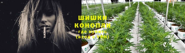 ешки Иннополис