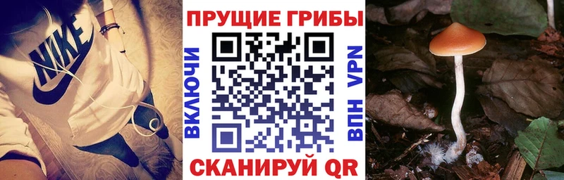 Купить где  Малоархангельск  Псилоцибиновые грибы Magic Shrooms 